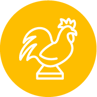 Mobilier scolaire Français